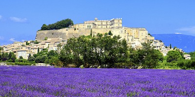 Zájezd Francouzská riviéra - Levandulová vůně Provence