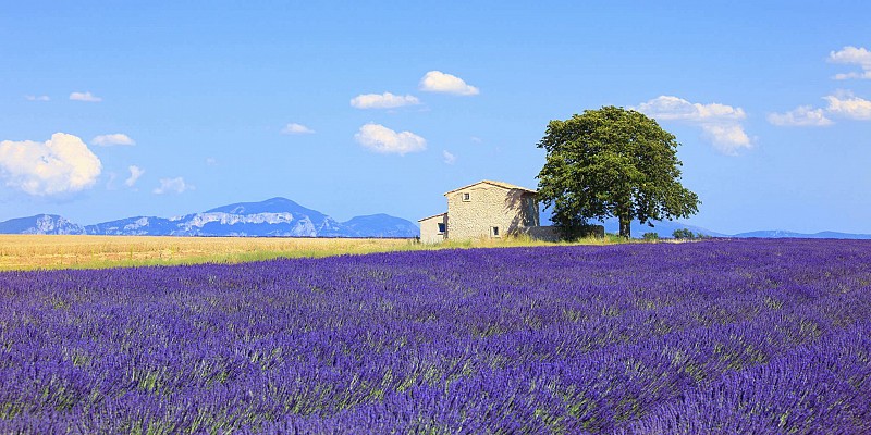 Školní zájezd Francouzská riviéra + Provence 7