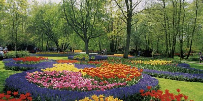 Zájezd Holandská květinová pohádka - květinové korzo