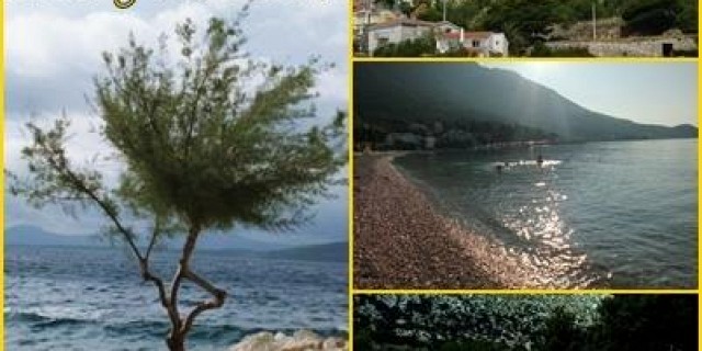 Pobytové zájezdy v Chorvatsku ve středisku Igrane v roce 2015