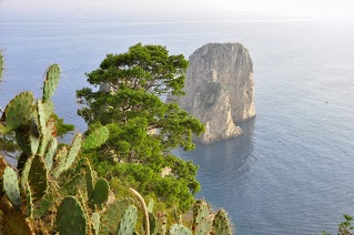 Hlasujte a vyhrajte pobyt v lázních !