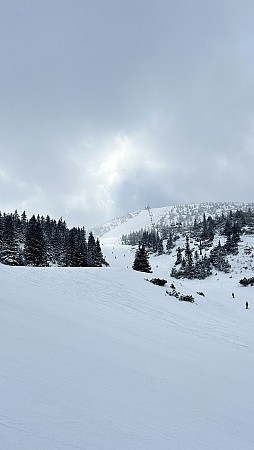Sněhem pokrytá krajina s jehličnatými stromy a otevřeným prostorem vedoucím k horskému hřebeni