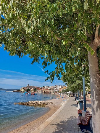 Pobřežní promenáda se stromy poskytujícími stín