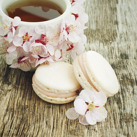 Školní zájezd Francouzská riviéra + Geneva + Neuschweianstein 17