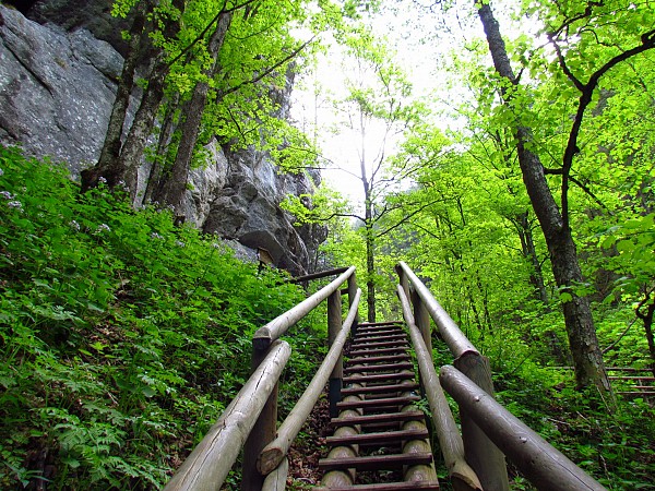 Dřevěné schody se zábradlím vedoucí do prudkého kopce v lese mezi skalami