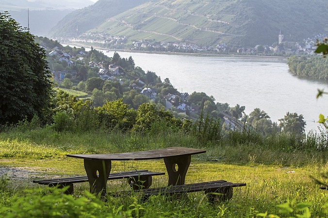 Školní zájezd Norimberk Delfinárium + Amberg 15