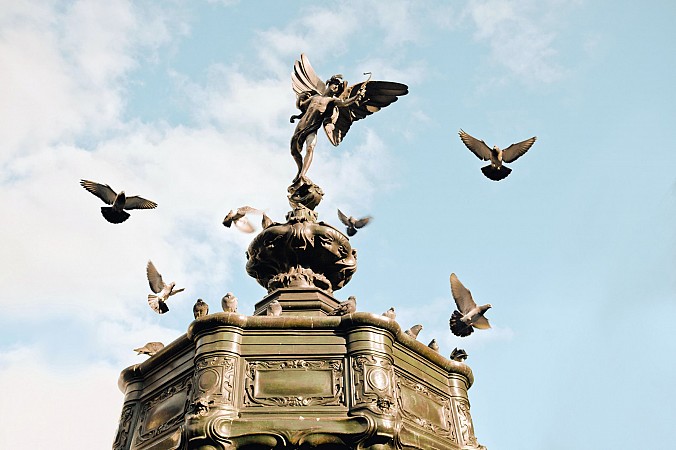 Školní zájezd Londýn + Windsor 21