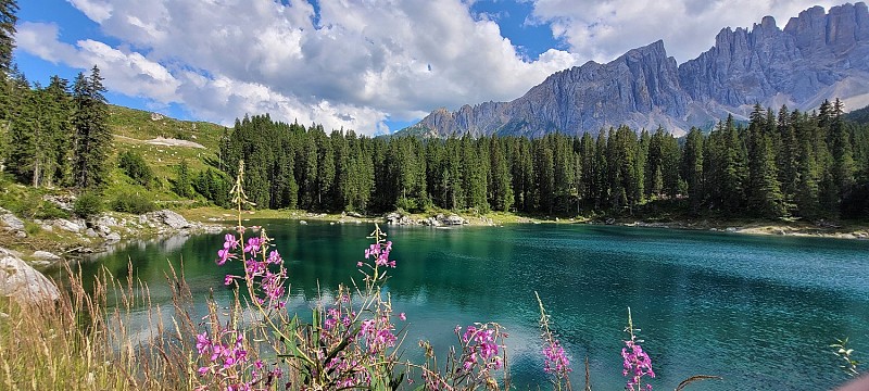 Karersee v Dolomitech obklopené lesy a horami