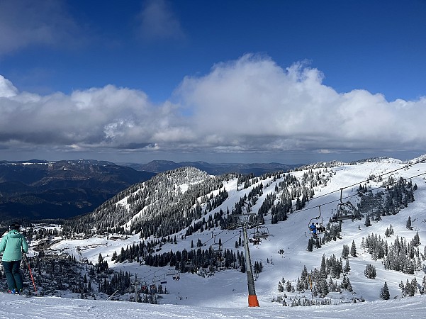 Sníh pokrývá horské svahy s roztroušenými stromy