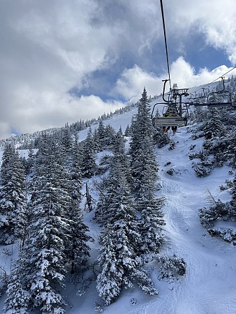 Zasněžené stromy na horském svahu s lanovkou stoupající nahoru