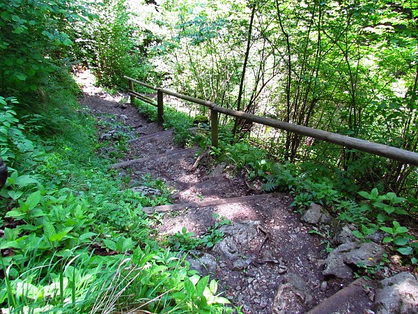 Lesní pěšina se zábradlím vedoucí po svahu, obklopená hustou zelení a stromy