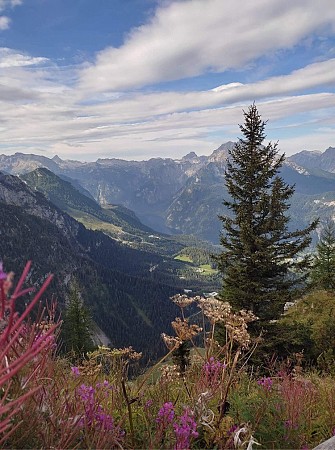 Horské údolí s květinami v popředí a zasněženými vrcholky