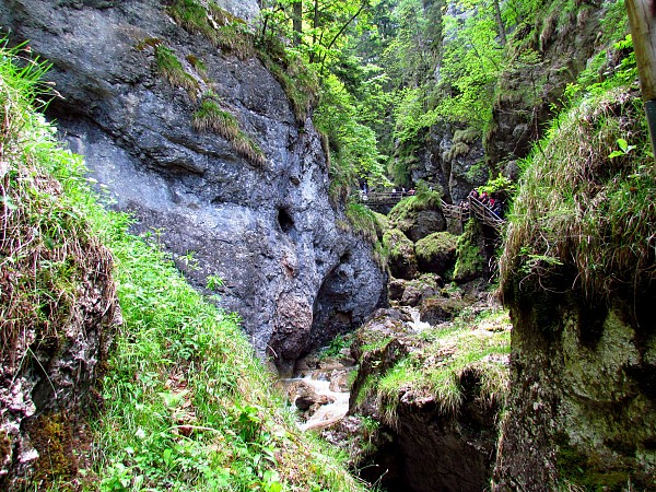 Úzká soutěska s porostlými skalními stěnami a potokem protékajícím mezi nimi