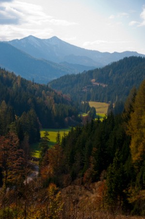 Údolí Wachau + výstava květin v Tullnu s plavbou lodí po Dunaji 3