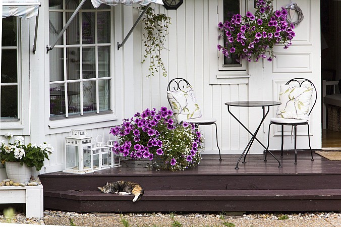 Dánsko - Švédsko 12