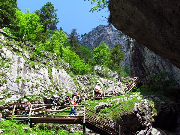 Dřevěný most s turisty procházejícími skalnatou soutěskou obklopenou zelení a vysokými horami