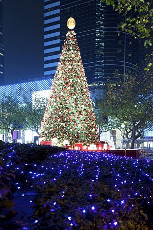 Osvětlený vánoční stromek ve městě obklopený dekorativními světly