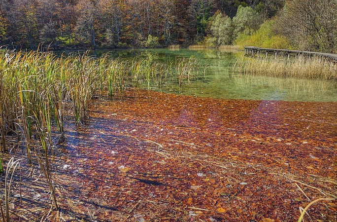 Jezírko s načervenalou vodní hladinou je obklopené zelení a rákosím, které vytváří kontrast s podzimními barvami okolní přírody