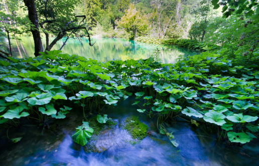 Kouzlo Národních parků Chorvatska + památka UNESCO Dubrovník 20