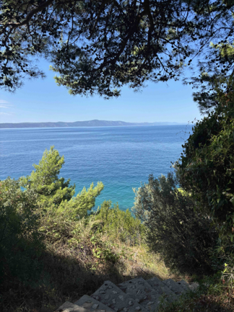 Výhled na moře v Igrane skrz stromy a keře rostoucí na svahu