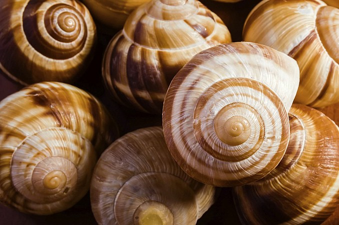 Velikonoční Paříž - BBB - 4 denní 15