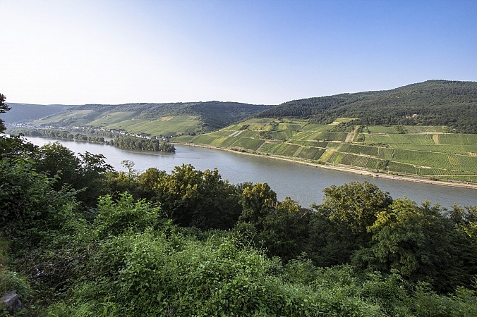Školní zájezd Norimberk Delfinárium + Amberg 14