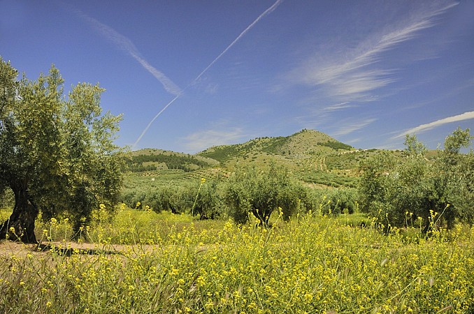 Igrane 13 dní - vlastní doprava 8