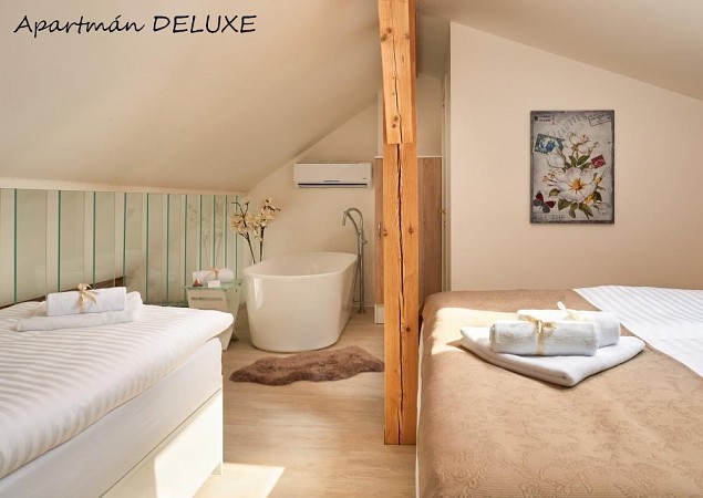 Apartmán DELUXE 3