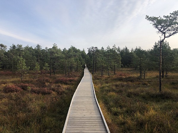 Finsko a Laponsko – divoká příroda a polární záře – RELAX, POHODA, FINSKÉ SAUNY A ZEMĚ TISÍCŮ JEZER 2025 10