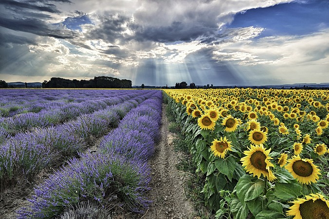 Školní zájezd Španělsko se zastavením na Azurovém pobřeží 33
