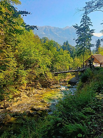 Soutěska Vintgar ve Slovinsku s řekou protékající mezi stromy a dřevěným mostem