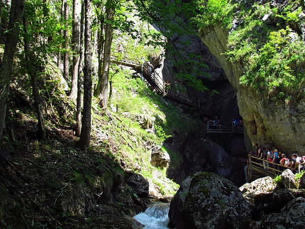 Úzká skalní soutěska s potokem a stromy rostoucími kolem