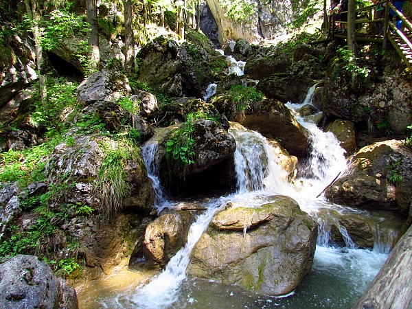 Horský potok s vodopádem, který protéká mezi kameny a zelení