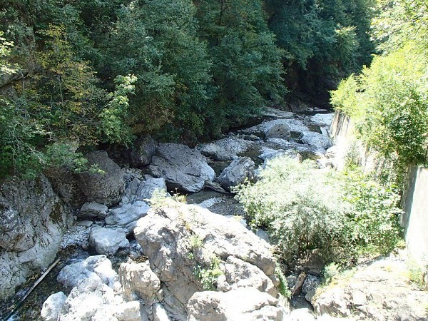 Říčka s balvany a proudící vodou v zalesněném prostředí Slovinska