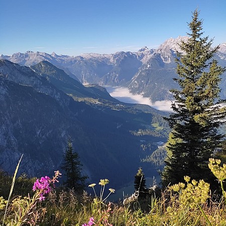 Pohled na horské údolí s rozkvetlými alpskými květinami