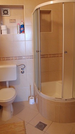 Toaleta a rohový sprchový kout se skleněnými dveřmi v dlaždicové koupelně