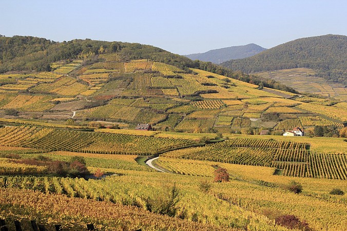 Školní zájezd Královská cesta Francií 18