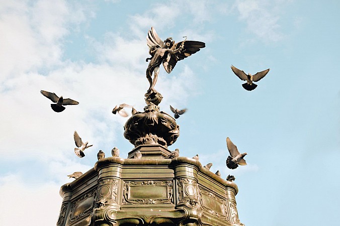 Školní zájezd Londýn and předvánoční nákupy 10