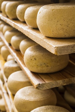 Školní zájezd Stará dobrá Anglie s výletem do Paříže 34