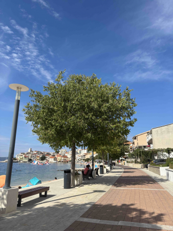 Pěší promenáda u moře se stromy, lavičkami a lampami