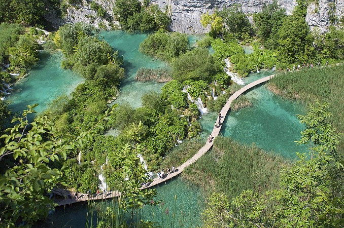 Dřevěná stezka se klikatí mezi jezírky a zelení, zatímco tyrkysová voda protéká mezi porosty
