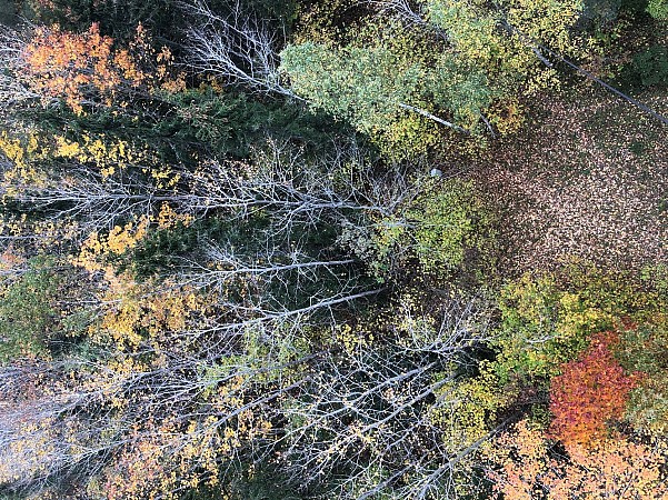 Finsko a Laponsko – divoká příroda a polární záře – RELAX, POHODA, FINSKÉ SAUNY A ZEMĚ TISÍCŮ JEZER 2025 12