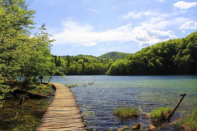 Dřevěná lávka vede přes průzračné jezero obklopené zelenými stromy