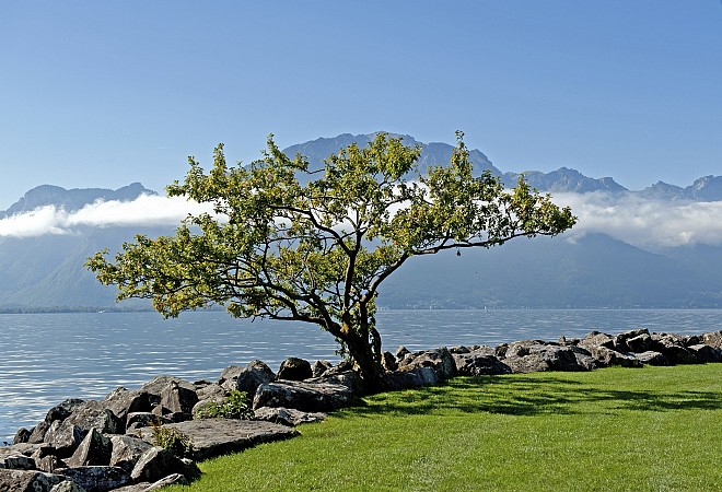 Autosalon Ženeva + krása přírody 17