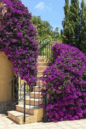 Školní zájezd Francouzská riviéra + Geneva + Neuschweianstein 12