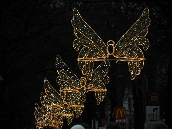 Světelné dekorace ve tvaru motýlů zářící ve večerní Vídni
