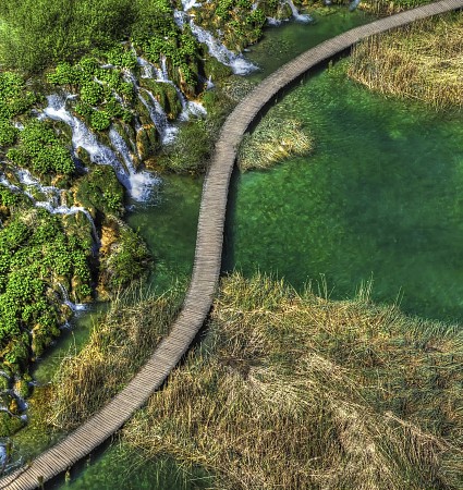 Dřevěná stezka se klikatí nad jezírkem obklopeným zelení a rákosím