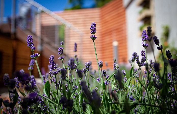 Lázně Jáchymov - Relaxační týden 13