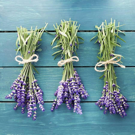 Školní zájezd Francouzská riviéra + Geneva + Neuschweianstein 14