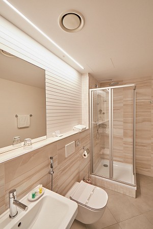 Světlá moderní koupelna s proskleným sprchovým koutem, umyvadlem, toaletou a velkým zrcadlem nad umyvadlem